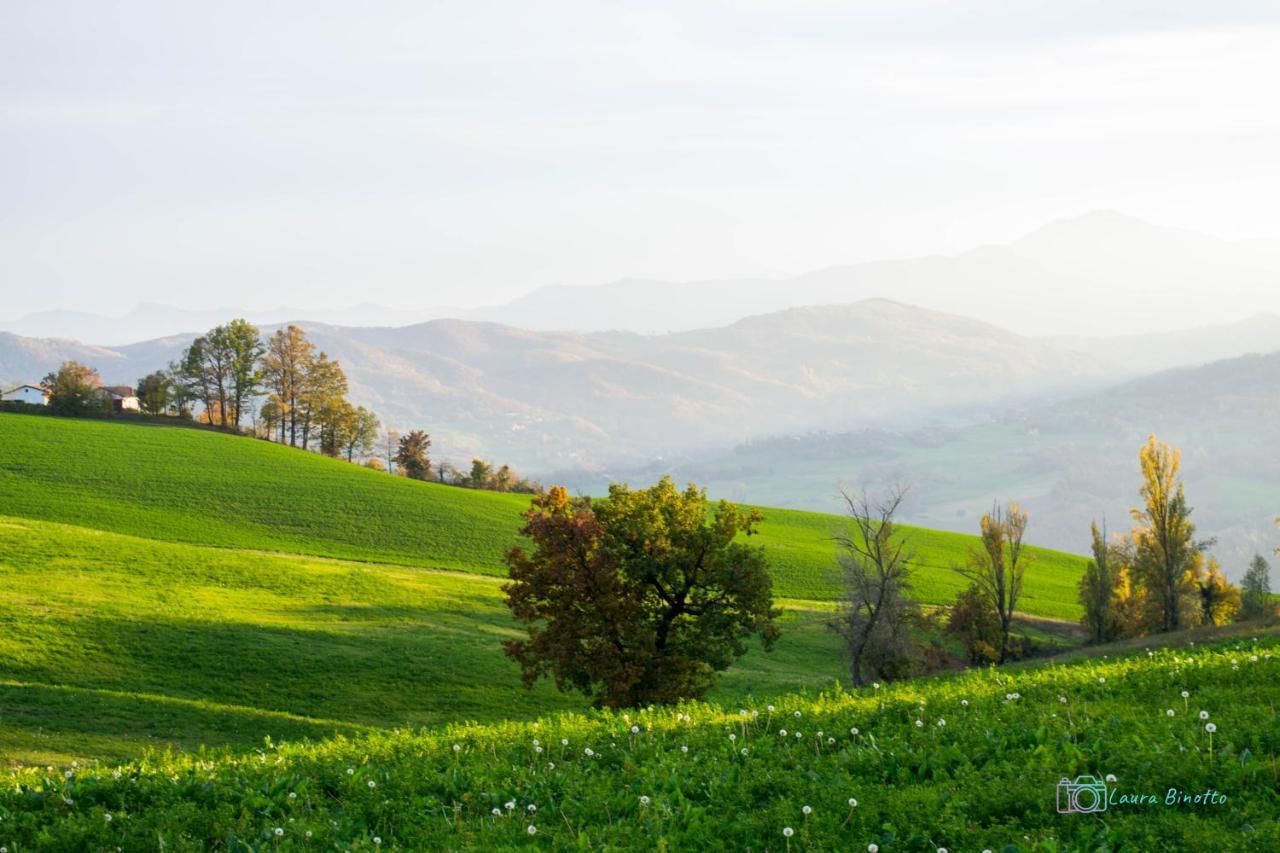 Serramazzoni Antiche Vie B&B المظهر الخارجي الصورة